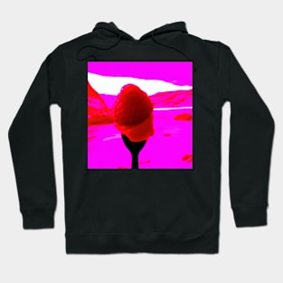 Sweet Raspberry Hoodie